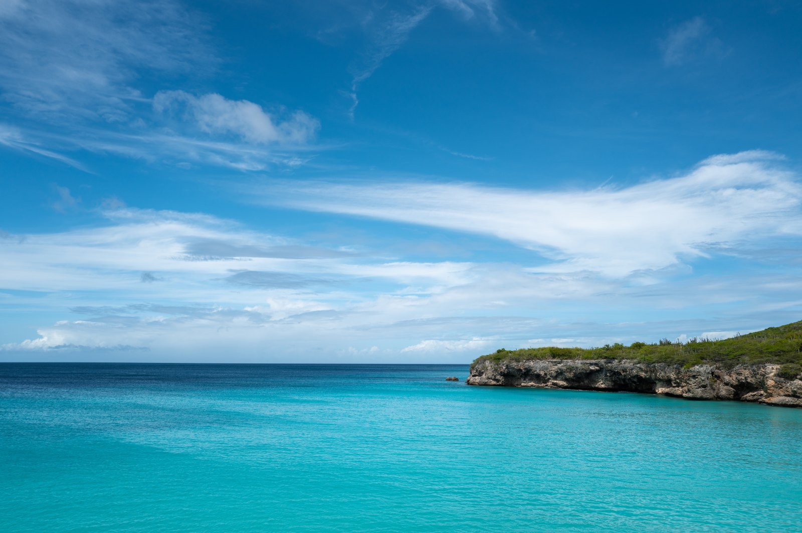Grote Knip