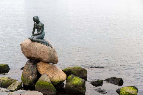 Little Mermaid