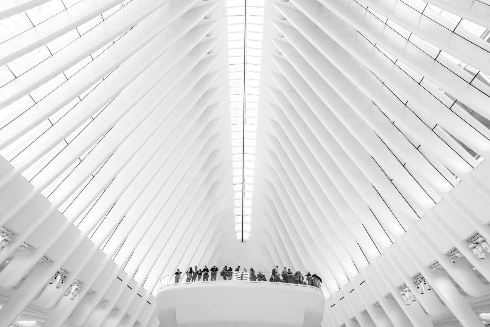 Oculus