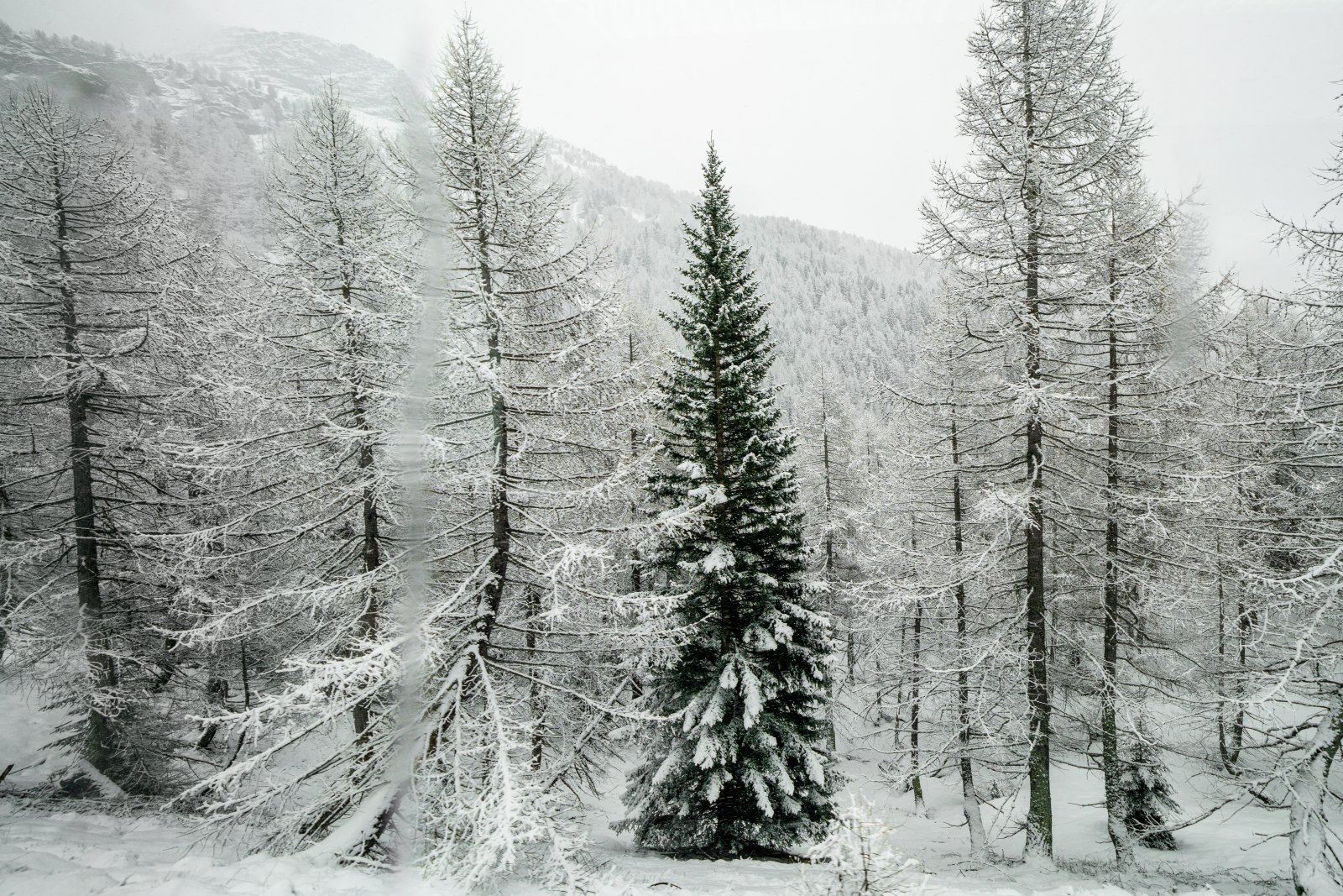 Snow