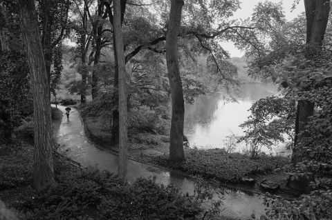 Central Park